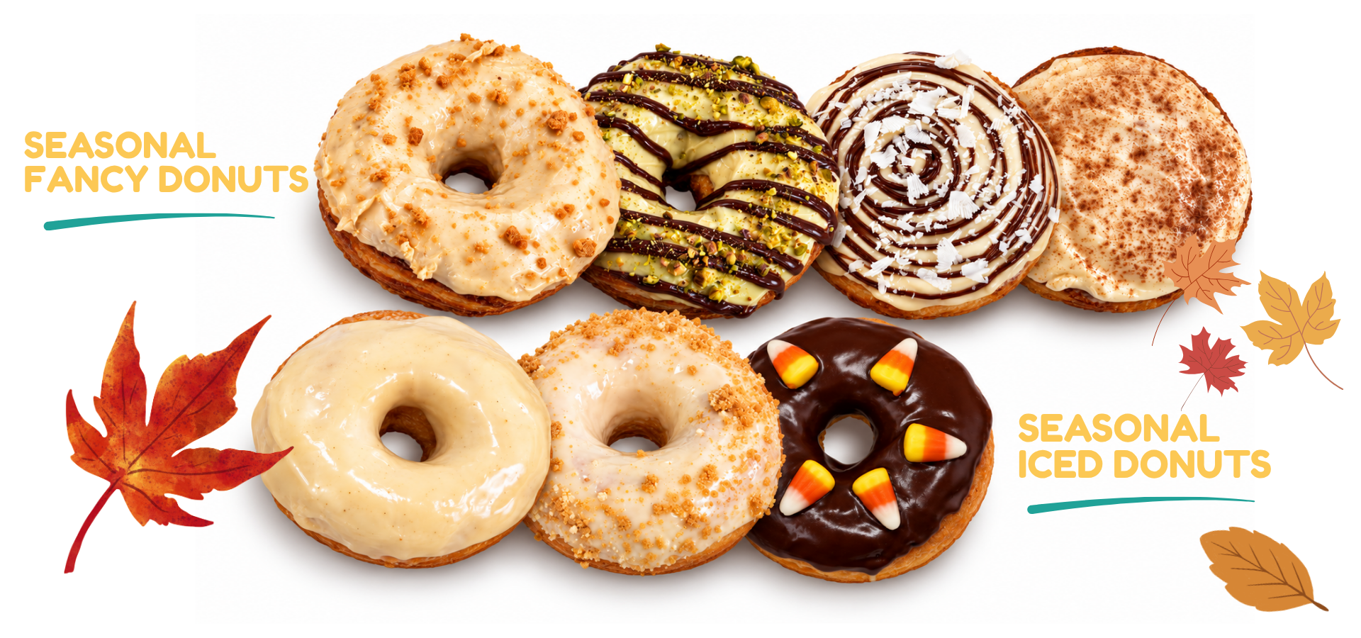Seasonal fancy and iced donuts arranged with autumn leaves